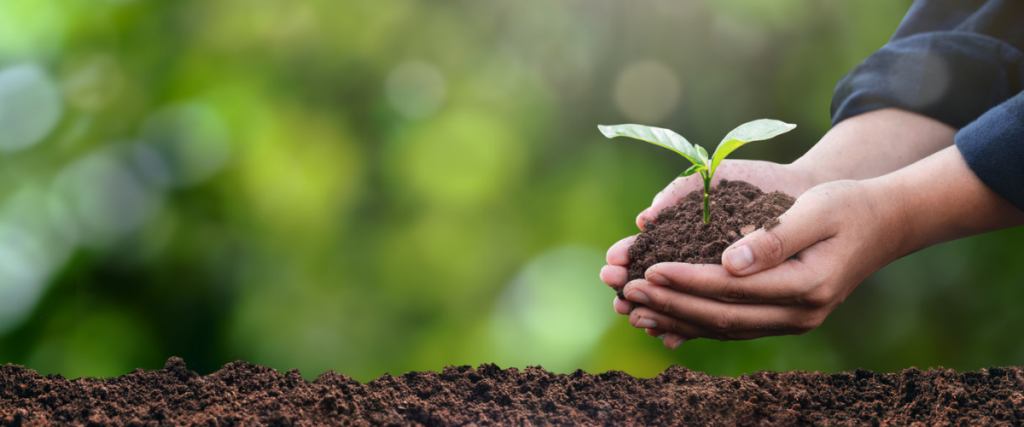 Planting the Way Towards a Sustainable Future